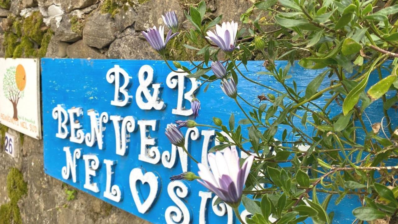 Bed and Breakfast Benvenuti Nel Sud Sessa Cilento Exteriér fotografie