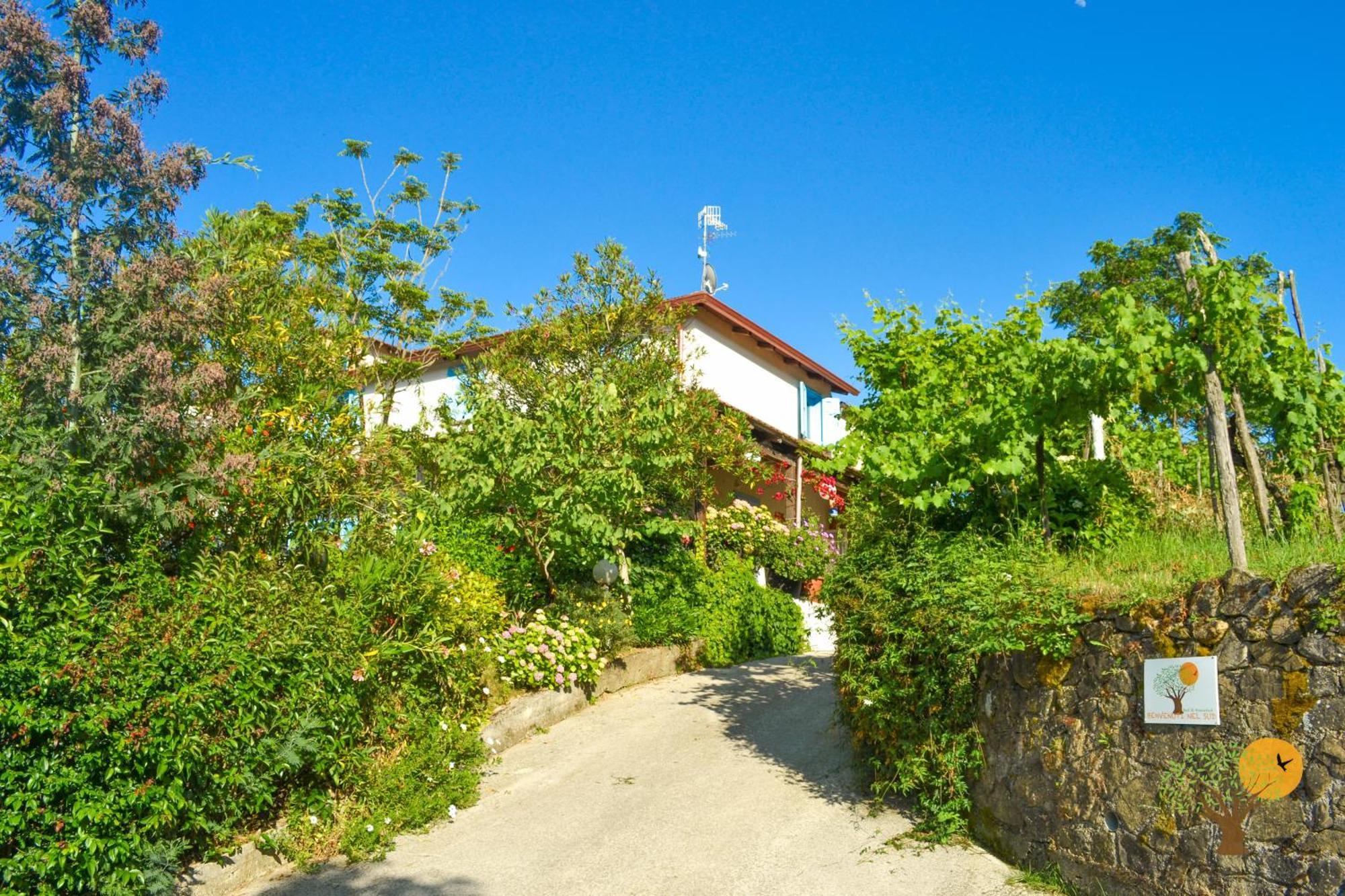 Bed and Breakfast Benvenuti Nel Sud Sessa Cilento Exteriér fotografie