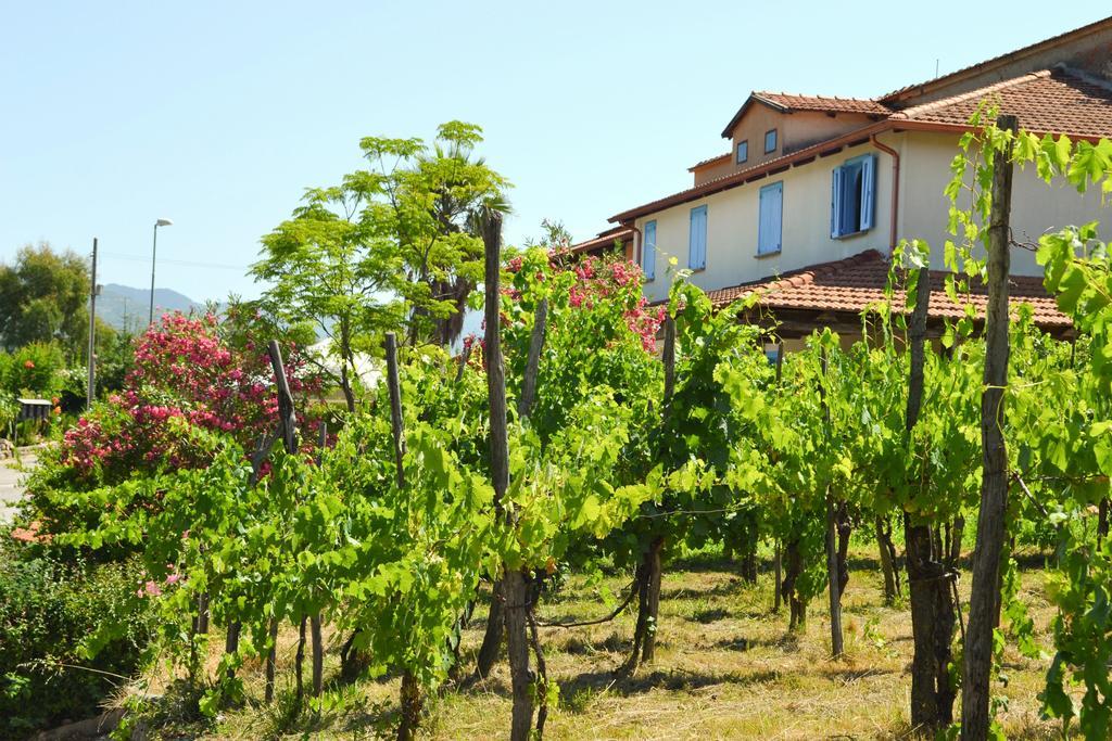Bed and Breakfast Benvenuti Nel Sud Sessa Cilento Exteriér fotografie