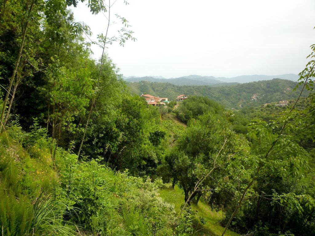 Bed and Breakfast Benvenuti Nel Sud Sessa Cilento Exteriér fotografie