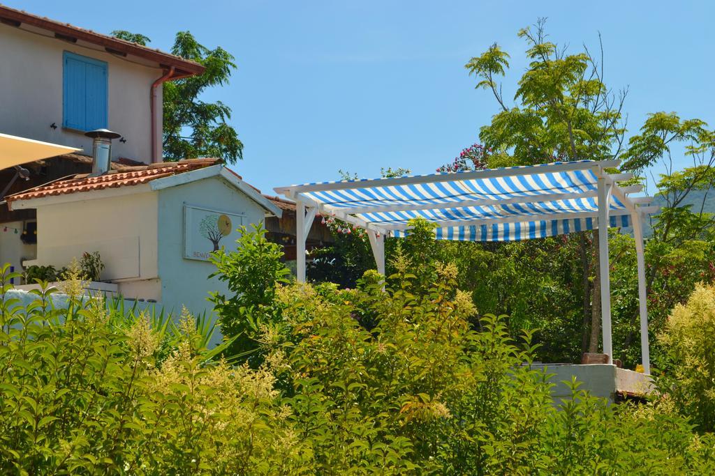 Bed and Breakfast Benvenuti Nel Sud Sessa Cilento Exteriér fotografie