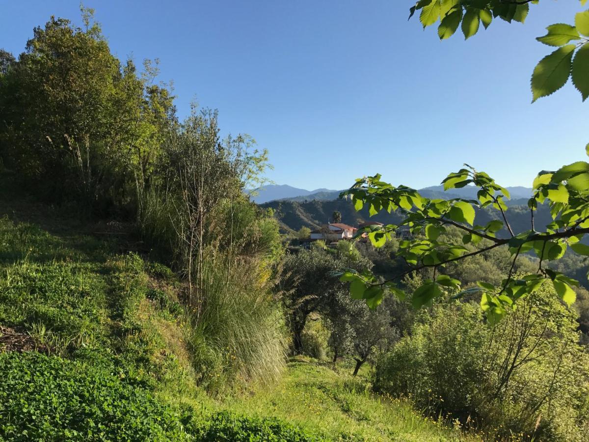 Bed and Breakfast Benvenuti Nel Sud Sessa Cilento Exteriér fotografie